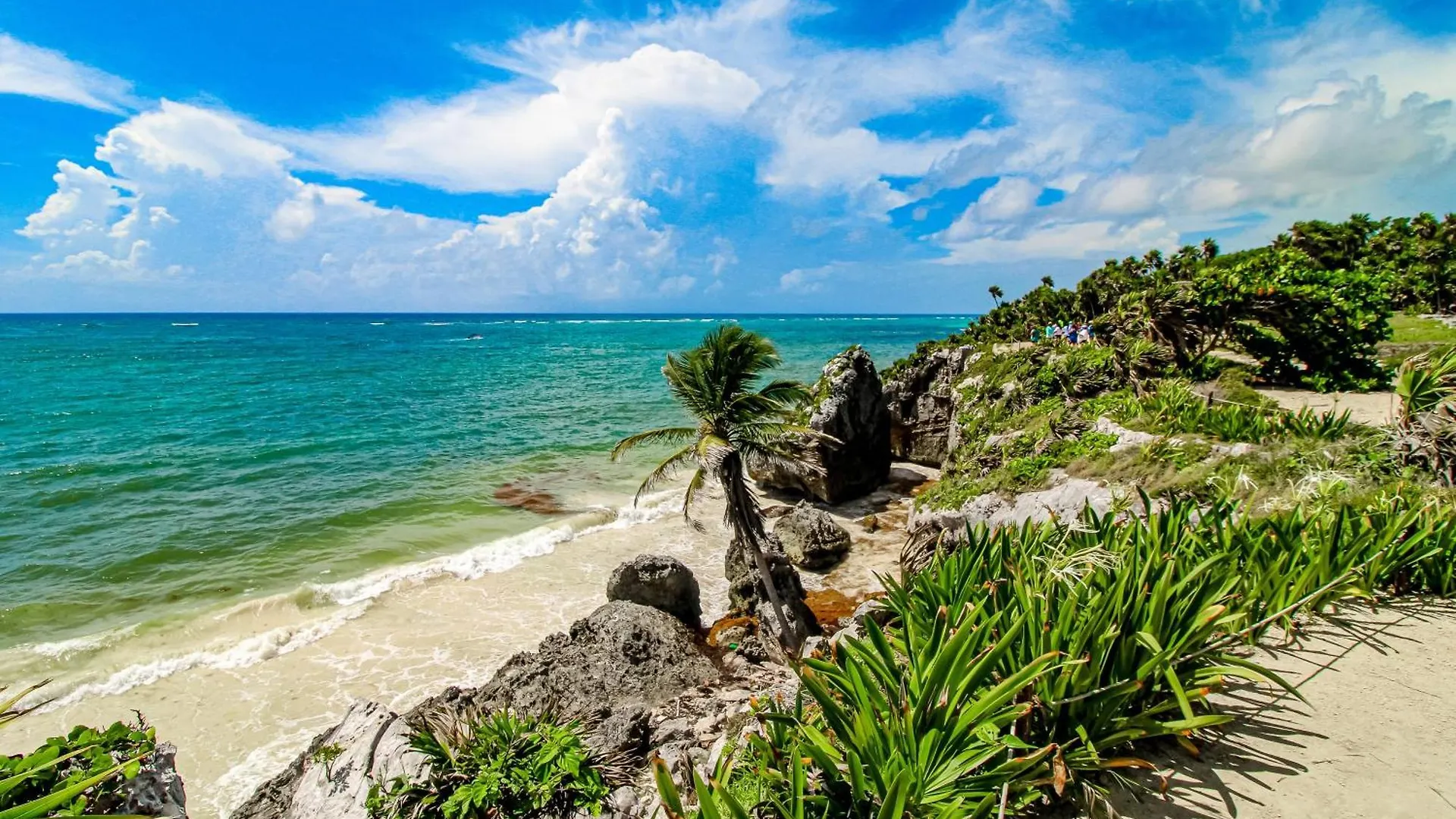 Bonita Tulum # 10 Ph, Aldea Zamaアパートホテル 0*,  メキシコ